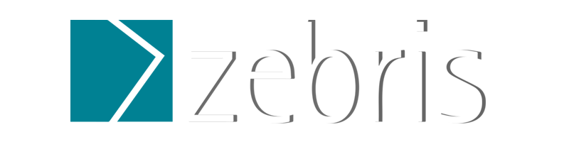 zebris-krzywe-shadow.png